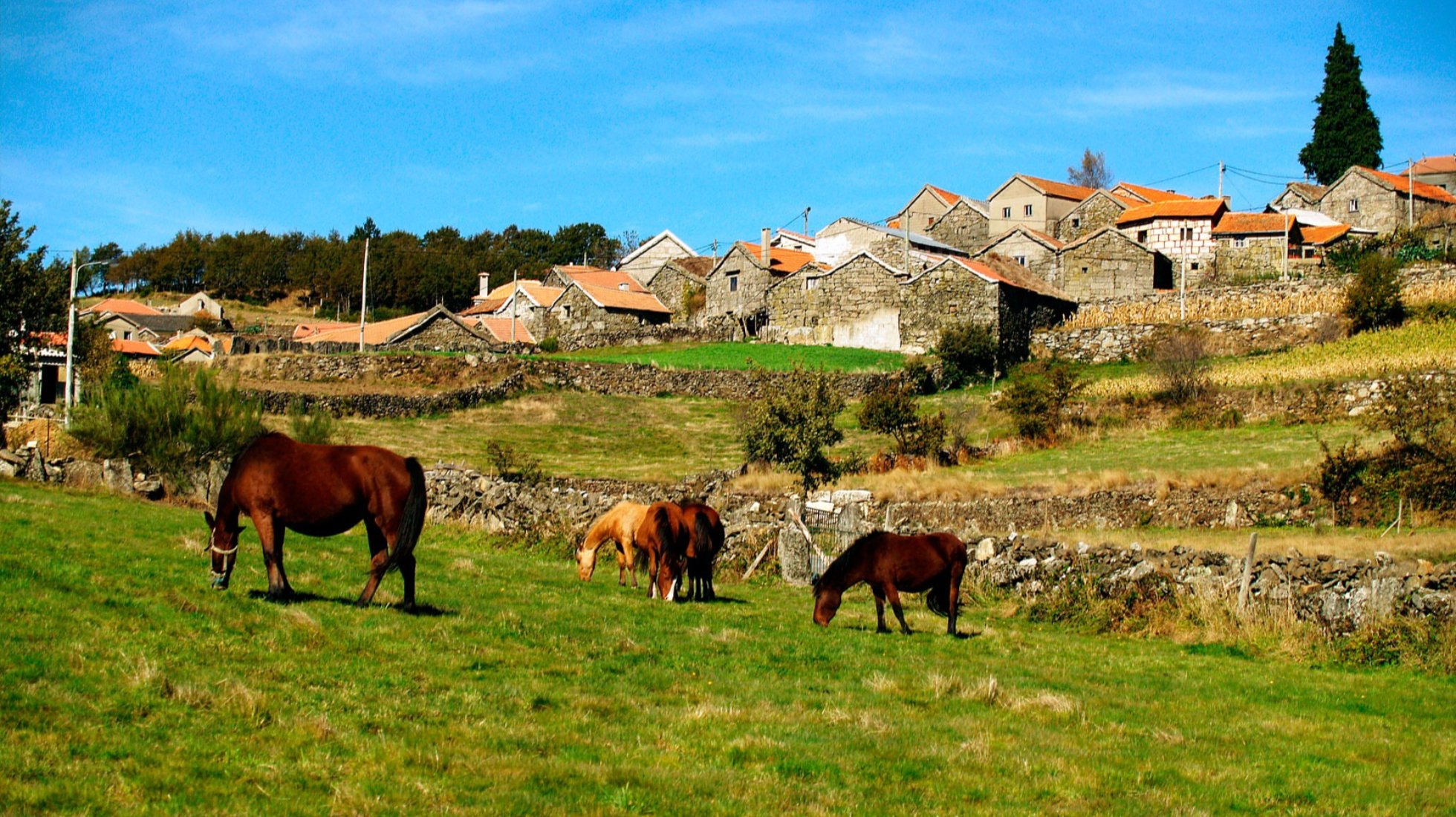 Ecotourism
